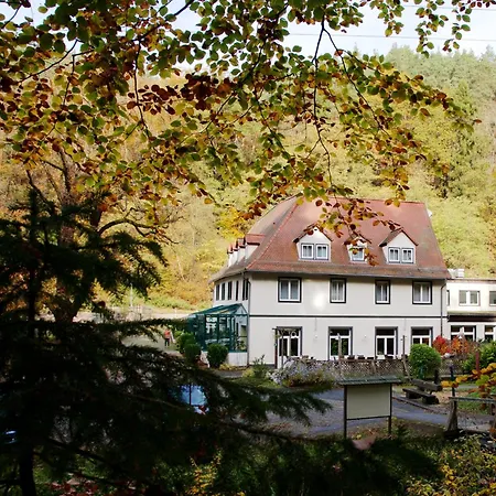 Отель Waldhotel Linzmuehle