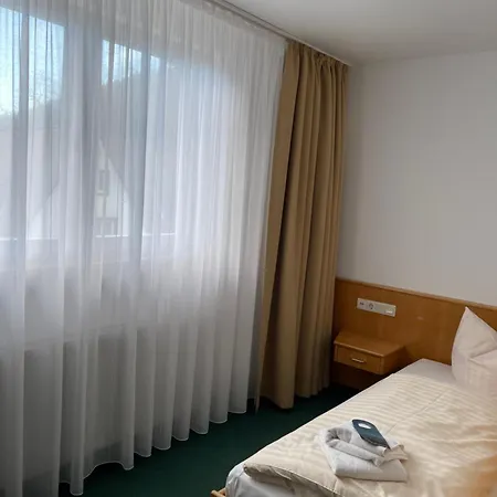 Otel Waldhotel Linzmuehle 3*