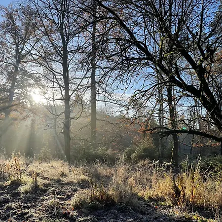 Waldhotel Linzmuehle