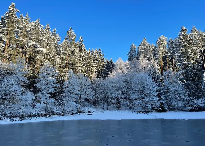 Hotel Waldhotel Linzmühle 3*