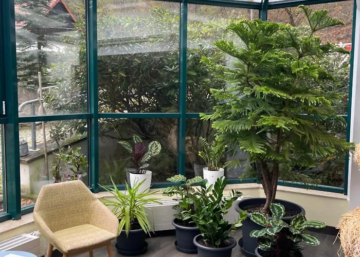 Waldhotel Linzmuehle Kahla (Thuringia)