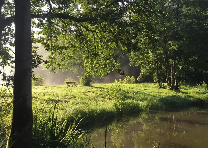 Waldhotel Linzmuehle 호텔