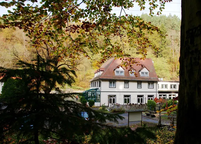 Hotel Waldhotel Linzmühle