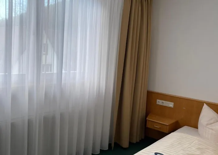 호텔 Waldhotel Linzmuehle 3*