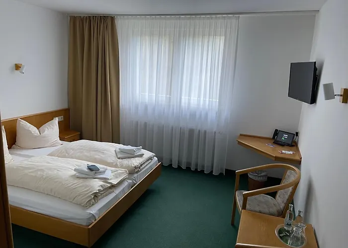 호텔 Waldhotel Linzmuehle 3*
