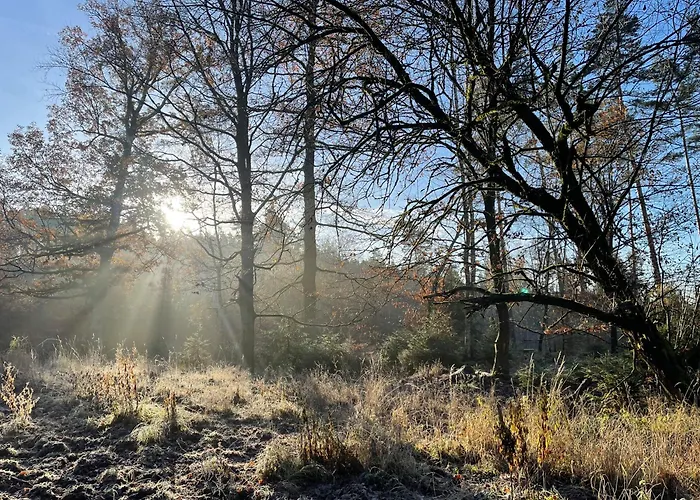 Waldhotel Linzmühle
