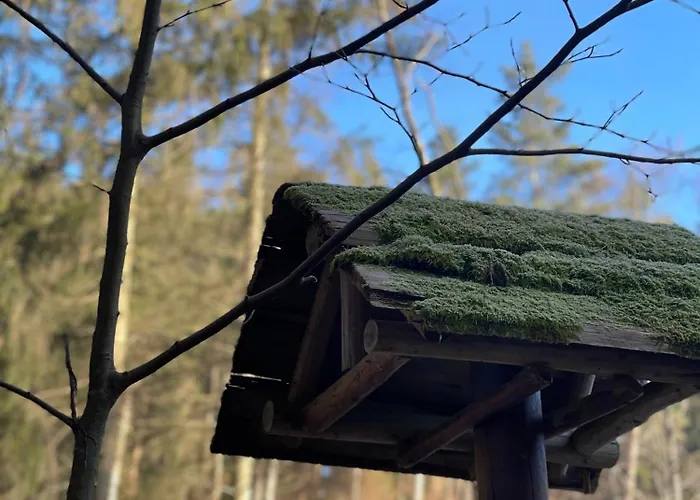 Waldhotel Linzmuehle 호텔