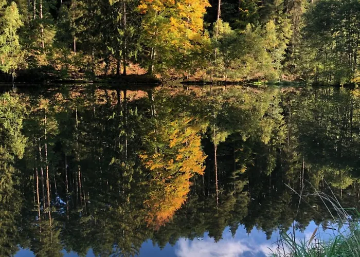 Waldhotel Linzmuehle Hotel Kahla (Thuringia)